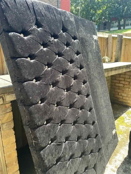 Photo of free Double velvet bed (Welling) #3