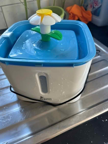 Photo of free Cat or dog water fountain (woking) #1