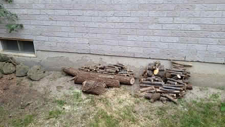 Photo of free firewood free take all (Newmarket) #1