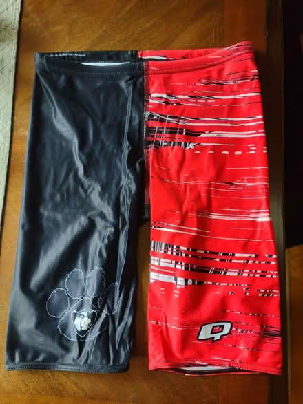 Photo of free Speedo swim shorts (near Shaws in Groton) #1