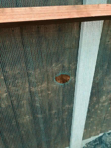 Photo of free Crop/Seed Protector Screens (Billericay, CM12) #4