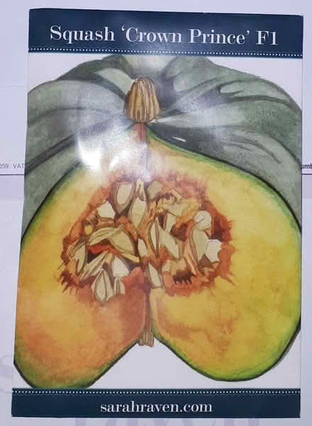 Photo of free Squash 'Crown Prince' F1 seeds (Horsham.) #1