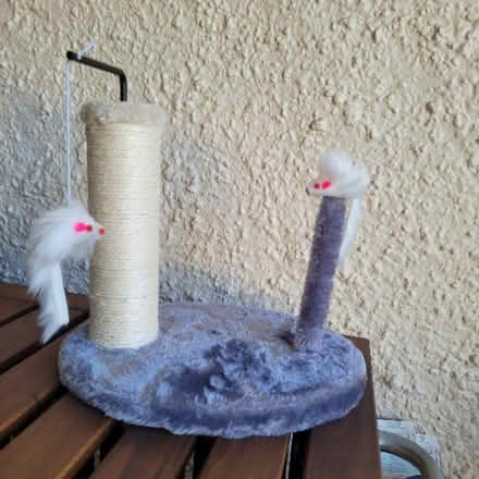 Photo of free Cat scratch stand & toy (Gladesville) #1