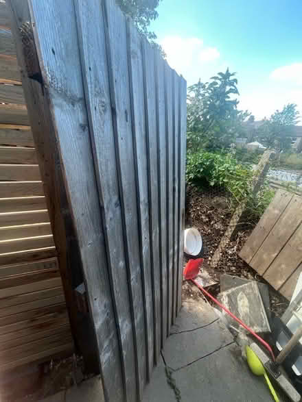 Photo of free Garden Gate (0.9 x 1.8m) (BR3 Beckenham/Penge) #3