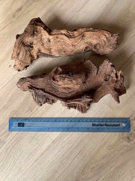 Photo of free Bog wood (Cullompton) #1