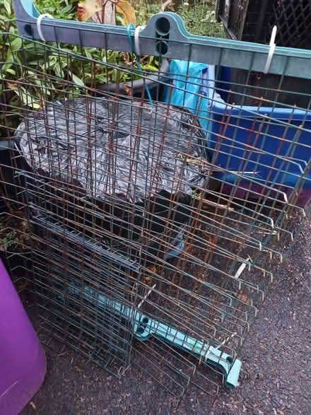 Photo of free Greenhouse metal mesh shelves (Fairfield L7) #1
