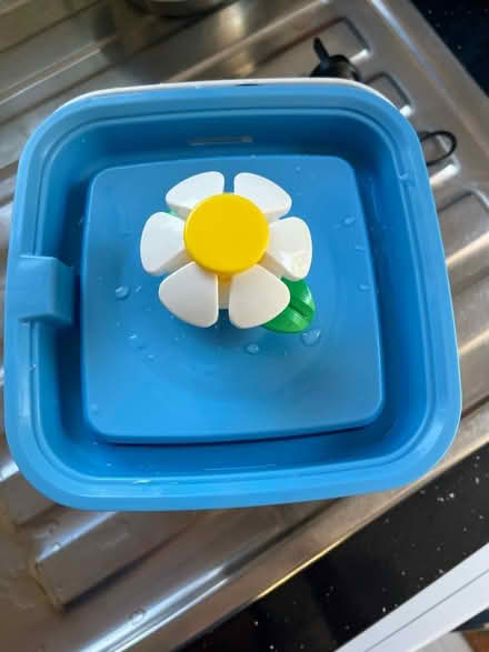 Photo of free Cat or dog water fountain (woking) #2