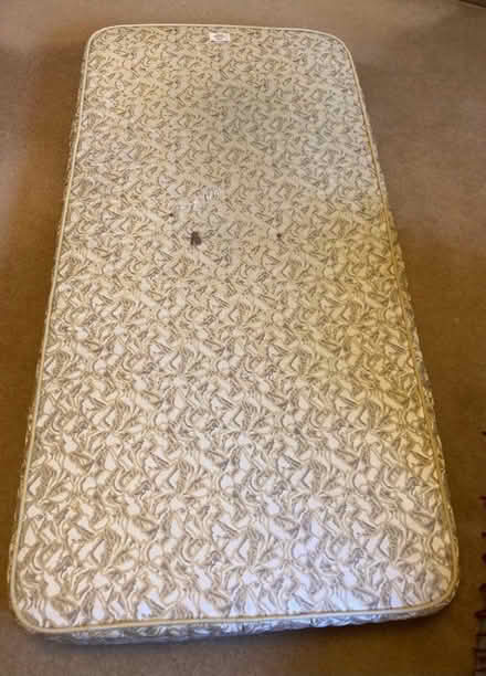 Photo of free Single Mattress (Llanmaes CF61) #2