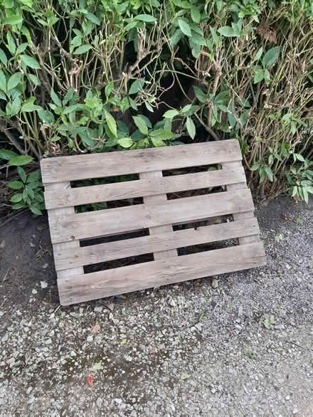 Photo of free Pallet (Olton B92) #1