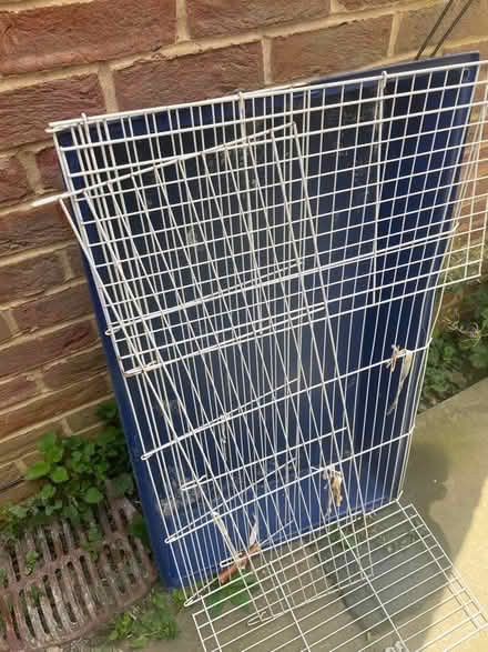 Photo of free Small cage (At albans) #1