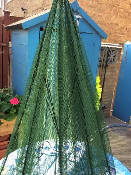 Photo of free Mesh plant protecter umbrella (Benfleet/Hadleigh SS7) #1