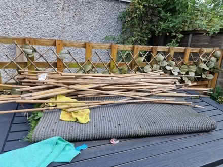 Photo of free Canes (Swarcliffe LS14) #1