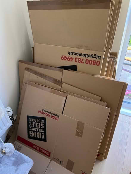 Photo of free Moving house boxes (Staple CT3) #1