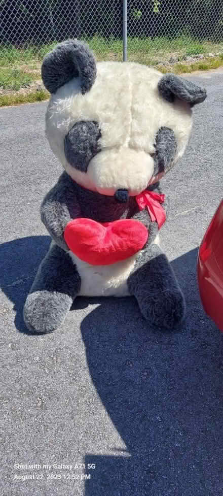 Photo of free Panda Bear for under the tree (Wolfeboro, NH) #1