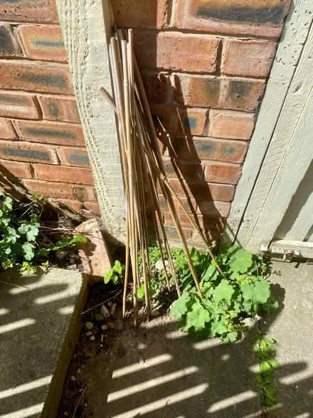 Photo of free bamboo sticks (Flint) #1