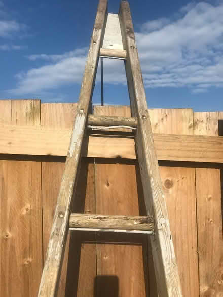 Photo of free Fruit picker ladder (West Denton NE15) #2