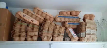 Photo of free Loads of clean empty egg boxes (Smalldale SK17) #1