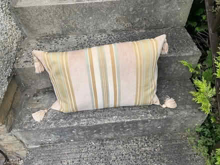 Photo of free Cushion (Silverknowes, Edinburgh) #1