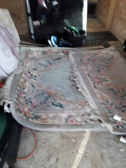 Photo of free Chinese super wash rug (Bexhill TN39) #2