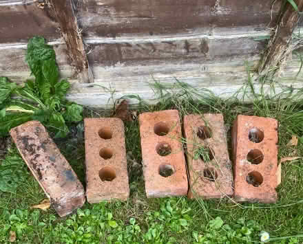 Photo of free 8 bricks (Flint) #1