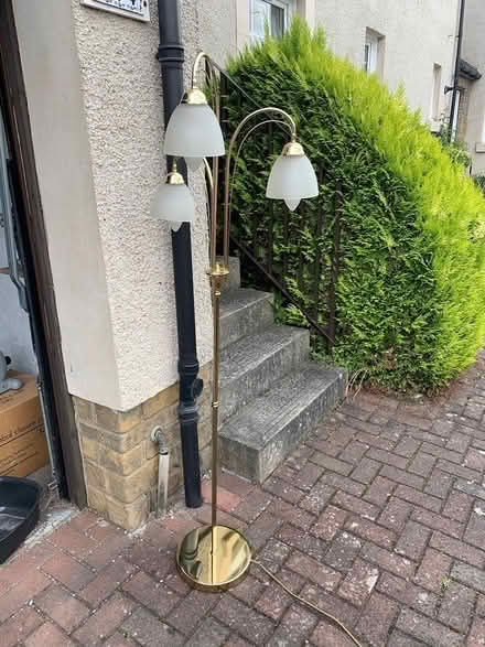 Photo of free Lamp (Silverknowes, Edinburgh) #1