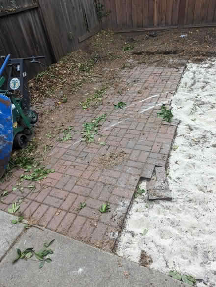 Photo of free Red bricks (Ponderosa Park (Sunnyvale)) #2