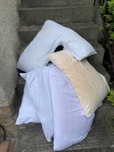 Photo of free Pillows (Silverknowes, Edinburgh) #1