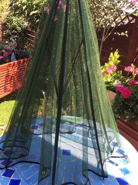 Photo of free Mesh plant protecter umbrella (Benfleet/Hadleigh SS7) #2