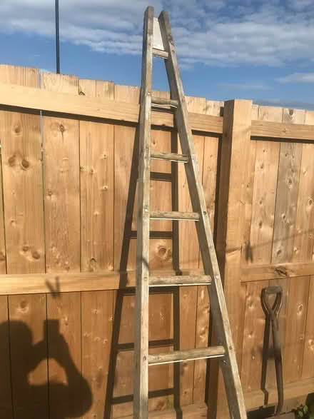 Photo of free Fruit picker ladder (West Denton NE15) #1