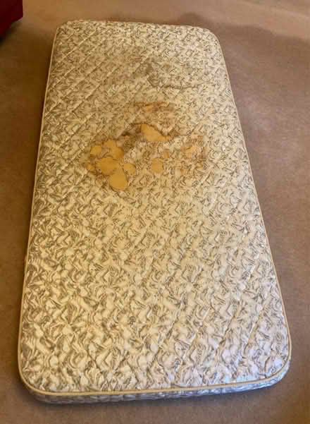 Photo of free Single Mattress (Llanmaes CF61) #1