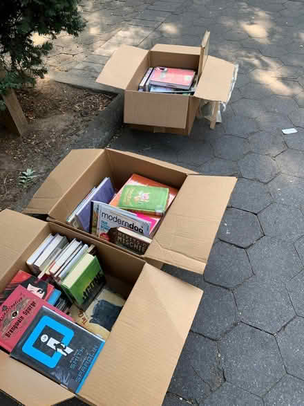 Photo of free Curb alert 3 boxes children’s books (16 Street & First Ave Manhatta) #1