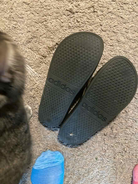 Photo of free Women’s Adidas Slides (Cockeysville Md) #2