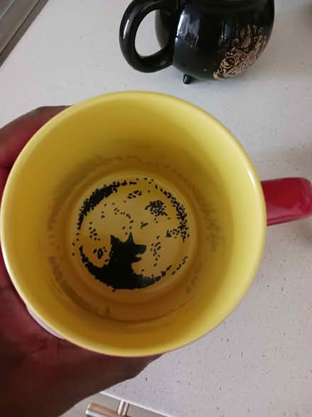 Photo of free 3 Harry Potter mugs: Used (Manhattan) #3