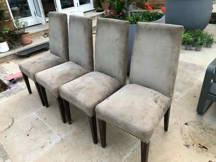Photo of free Dining chairs (Worcester Park KT4) #4