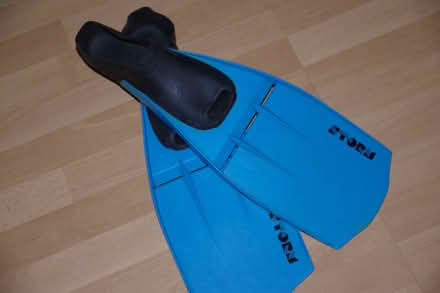 Photo of free Flippers (Threemilestone) #1