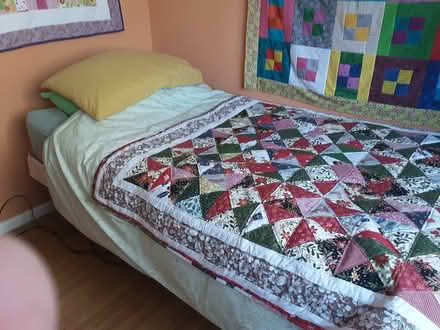 Photo of free Electric bed (Taunton) #1
