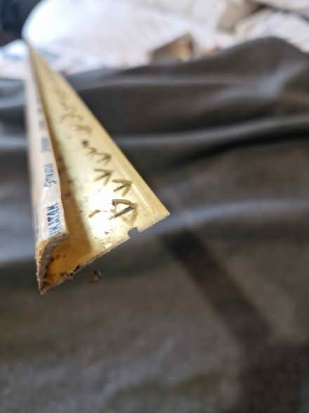 Photo of free Carpet Edge – Standard by Stikatak 🏠 (Holmer Green HP15) #2