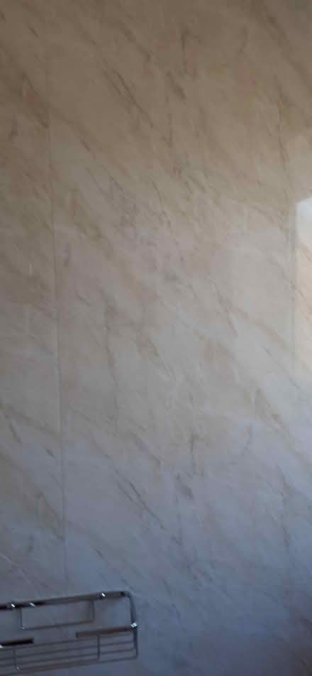 Photo of free Wall panel (Birch Hill RG12) #2