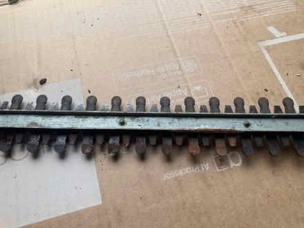 Photo of free Hedge cutter (Stafford ST17) #3