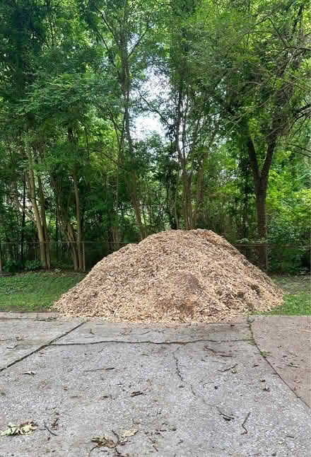 Photo of free mulch (East Point) #1