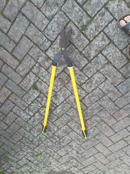 Photo of free Garden trimming shears (Friston BN20) #1