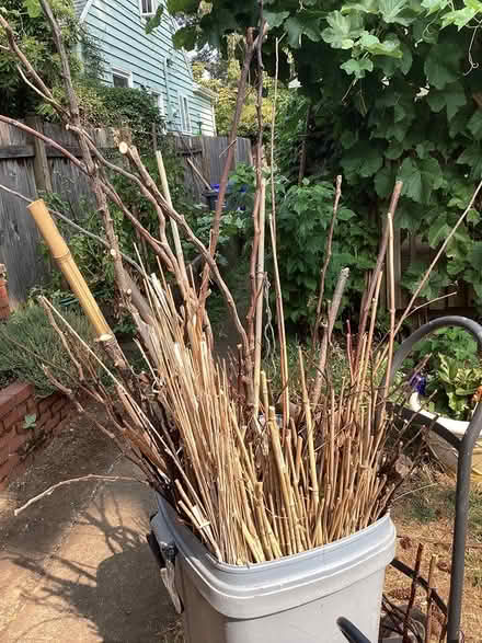 Photo of free Garden sticks (NE Portland, Concordia) #2