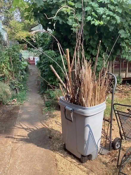 Photo of free Garden sticks (NE Portland, Concordia) #1