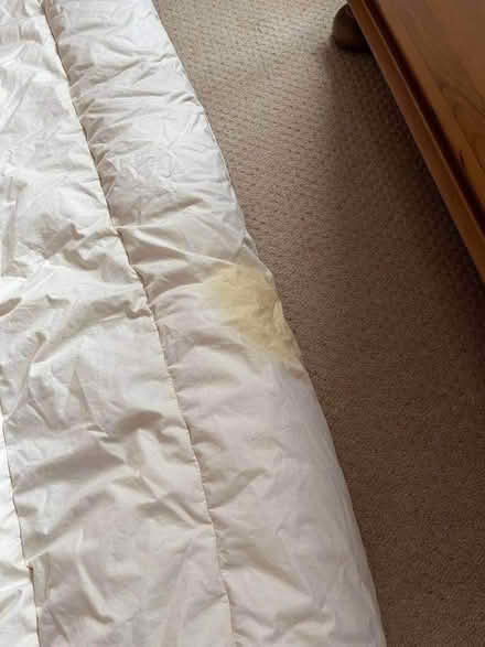 Photo of free Single duvet, feather fill, suitable for pet bedding? (Pontfaen/Forge SY20) #2