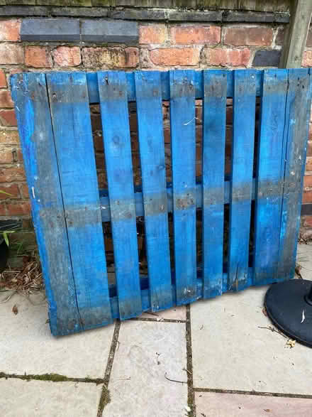 Photo of free Large wooden pallet (CV5) #1