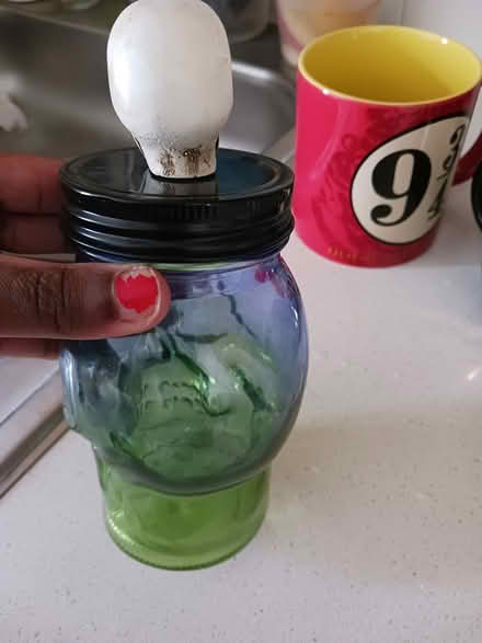 Photo of free Crystal skull jar with skull lid (Manhattan) #2