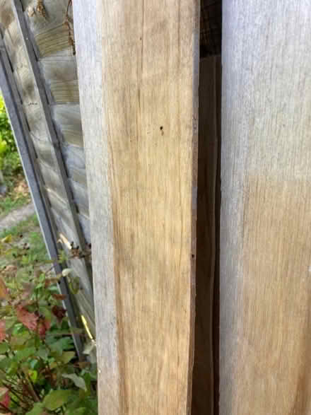 Photo of free Wood plywood (Hayling Island PO11) #4