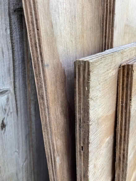 Photo of free Wood plywood (Hayling Island PO11) #1