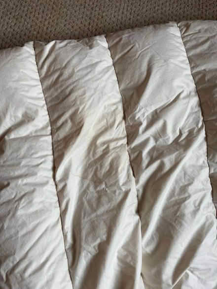 Photo of free Single duvet, feather fill, suitable for pet bedding? (Pontfaen/Forge SY20) #1