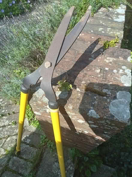 Photo of free Garden trimming shears (Friston BN20) #2